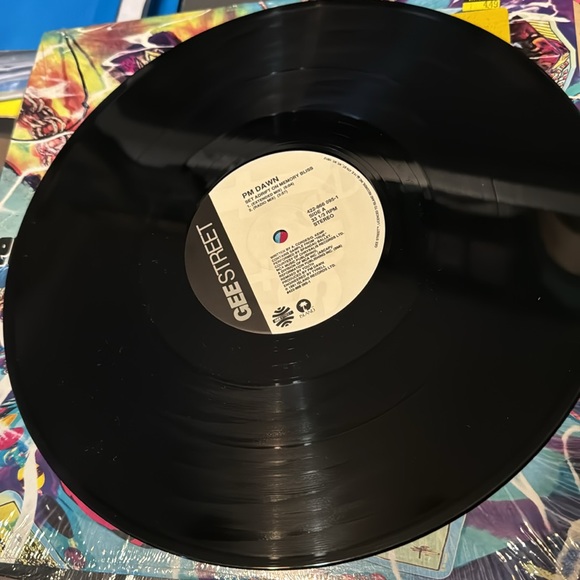 PM DAWN “Set a Drift On Memory Bliss” Vintage 1991 - 12” LP - Vinyl Record - Picture 6 of 15